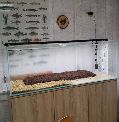 Аквариум Biohobby 1500x500x500h 375 л
