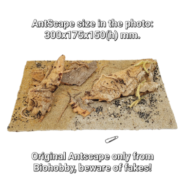 Набор декораций AntScape для оформления муравьиных ферм Белый дом XXL 4Ants