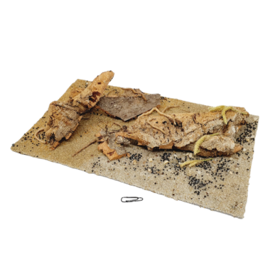 AntScape Biohobby 1823111501002