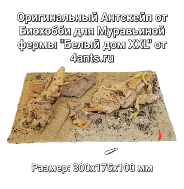 AntScape Biohobby 1823111501002