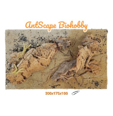 AntScape Biohobby 1823111501002
