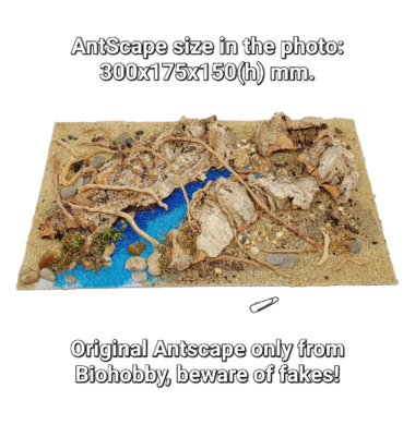 Набор декораций AntScape для оформления муравьиных ферм Белый дом XXL 4Ants