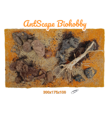 AntScape Biohobby 1823111503001