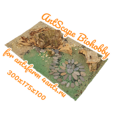 AntScape Biohobby 1824010601001
