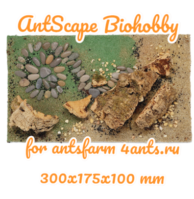 AntScape Biohobby 1824010601001