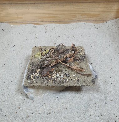 Набор декораций AntScape для оформления муравьиных ферм AntNature