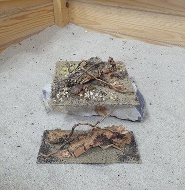 Набор декораций AntScape для оформления муравьиных ферм AntNature