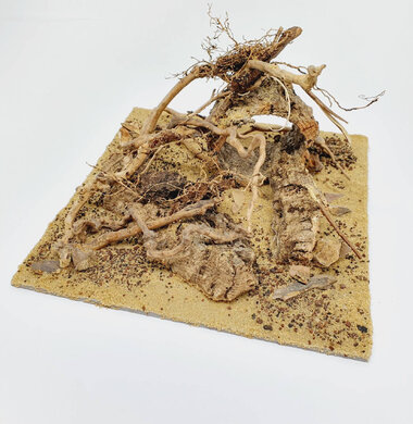 AntScape Biohobby 0623021503023