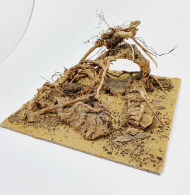 AntScape Biohobby 0623021503023