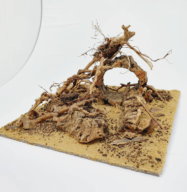 AntScape Biohobby 0623021503023