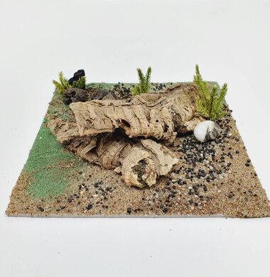 AntScape Biohobby 0623042801042