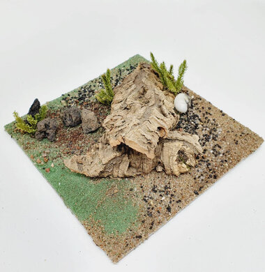 AntScape Biohobby 0623042801042