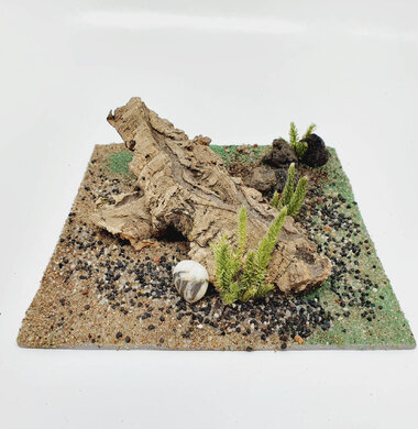 AntScape Biohobby 0623042801042