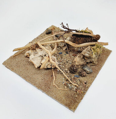 AntScape Biohobby 0623052701014