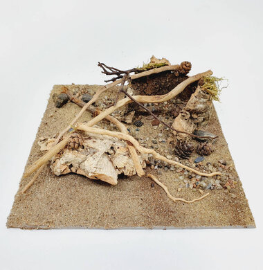 AntScape Biohobby 0623052701014