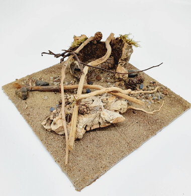 AntScape Biohobby 0623052701014