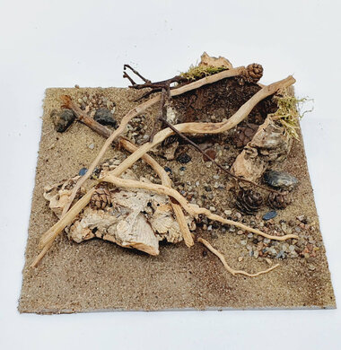 AntScape Biohobby 0623052701014