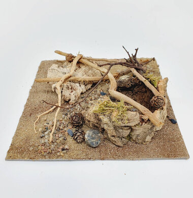 AntScape Biohobby 0623052701014