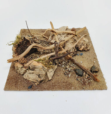 AntScape Biohobby 0623052701014