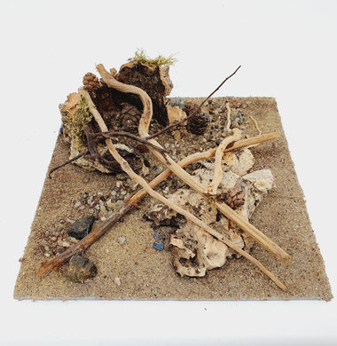 AntScape Biohobby 0623052701014