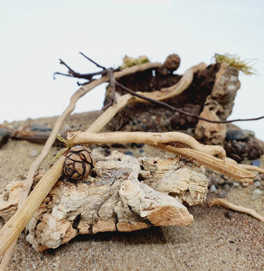 AntScape Biohobby 0623052701014