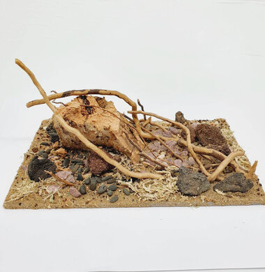AntScape Biohobby 0523022403013