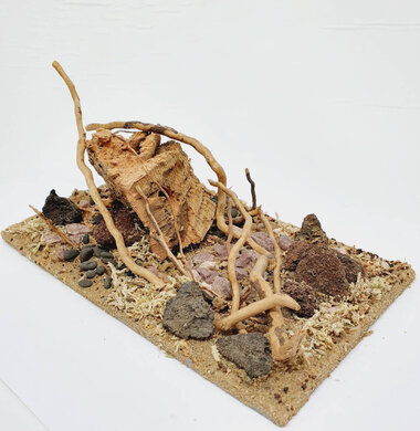 AntScape Biohobby 0523022403013