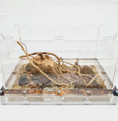 AntScape Biohobby 0523022403013