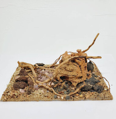 AntScape Biohobby 0523022403013