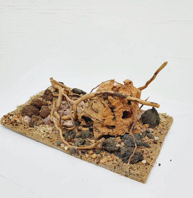AntScape Biohobby 0523022403013