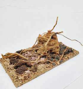 AntScape Biohobby 0523022403013