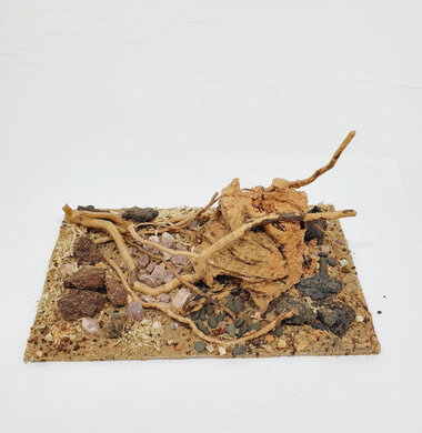 AntScape Biohobby 0523022403013