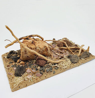 AntScape Biohobby 0523022403013