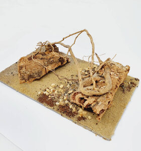 AntScape Biohobby 0523040101019