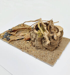 AntScape Biohobby 0523040201001