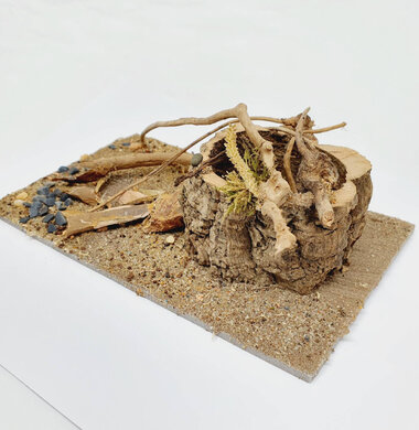 AntScape Biohobby 0523040201001