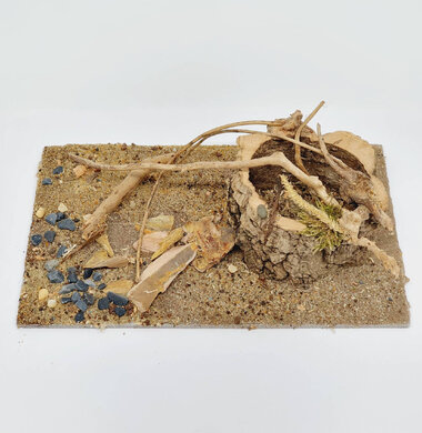 AntScape Biohobby 0523040201001