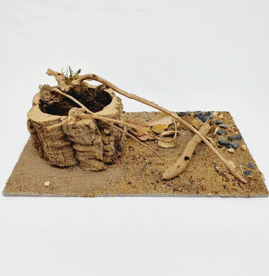 AntScape Biohobby 0523040201001