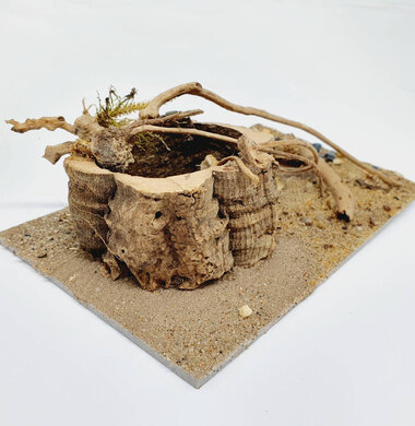 AntScape Biohobby 0523040201001