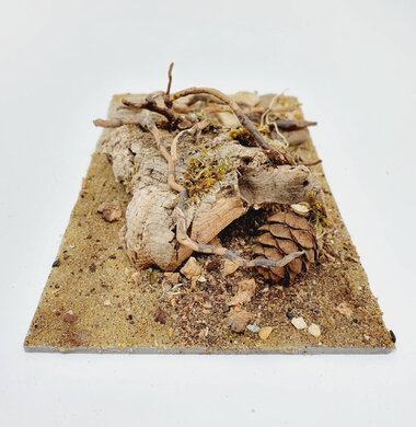 AntScape Biohobby 0523042801040