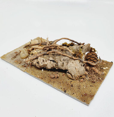 AntScape Biohobby 0523042801040