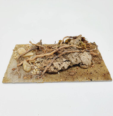 AntScape Biohobby 0523042801040