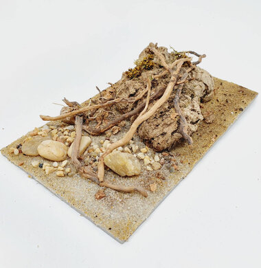 AntScape Biohobby 0523042801040