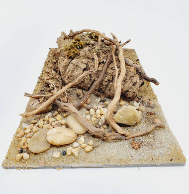 AntScape Biohobby 0523042801040