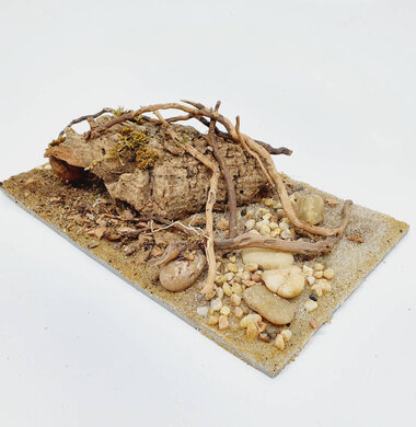 AntScape Biohobby 0523042801040