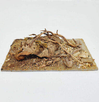 AntScape Biohobby 0523042801040