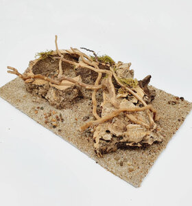 AntScape Biohobby 0523070501021