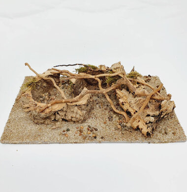 AntScape Biohobby 0523070501021