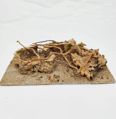 AntScape Biohobby 0523070501021