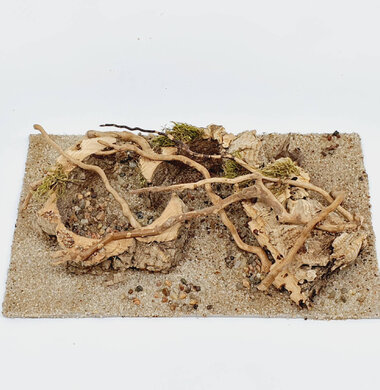 AntScape Biohobby 0523070501021